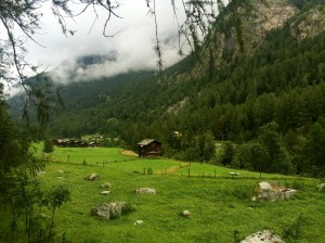 Zermatt valley farmland