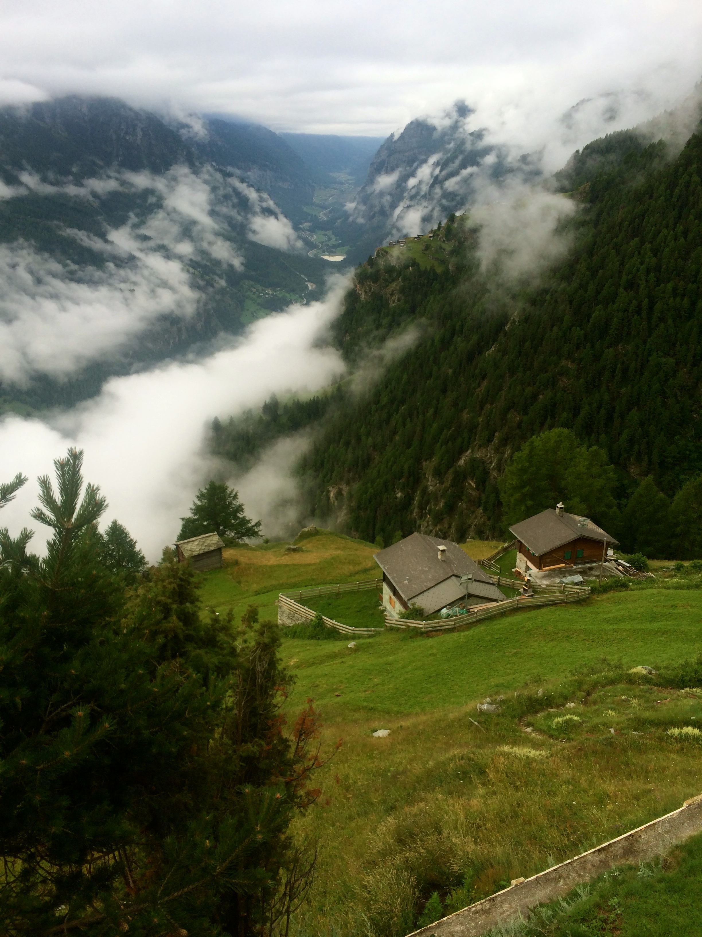 The view from our Jungu perch