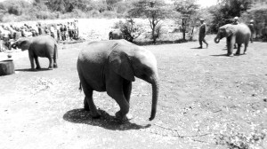 img_20161021_123634.jpg img_20161021_123634.jpg