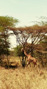 img_20161021_131824.jpg img_20161021_131824.jpg